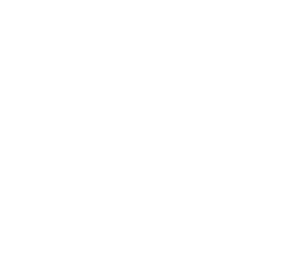 PraxiSolv3D